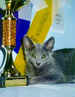 Zenit with her cup and rosettes