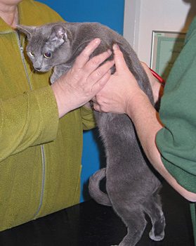 At the vet February 2005