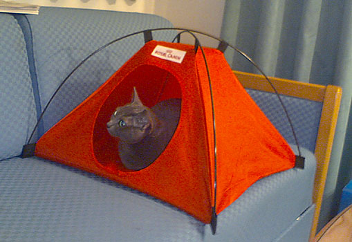 Sarantoya in a tent